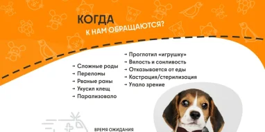 Ветеринарная служба ВетСкорая24 на улице Тевосяна фотография 4