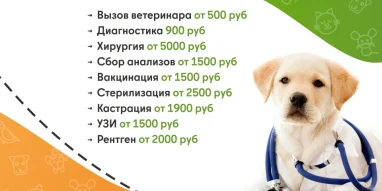 Ветеринарная служба ВетСкорая24 на улице Тевосяна фотография 6